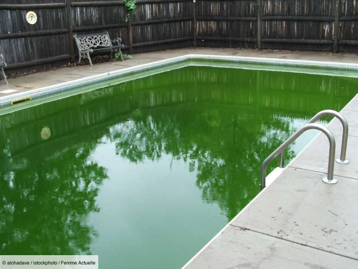 Eau de piscine verte, brune ou rouge?